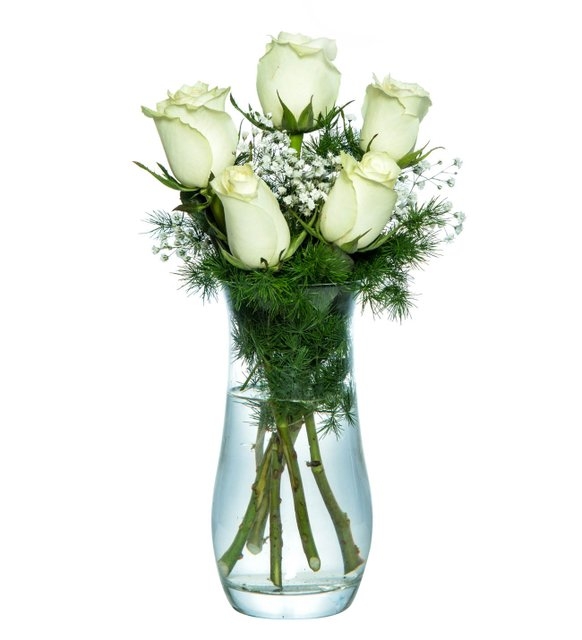 Beyaz Güller | İstanbul Ümraniye Online Çiçek Sipariş ve Gönderim